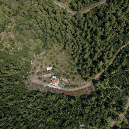 Dream House Capturing The Magic Of Nature Vlachia Zewnętrze zdjęcie
