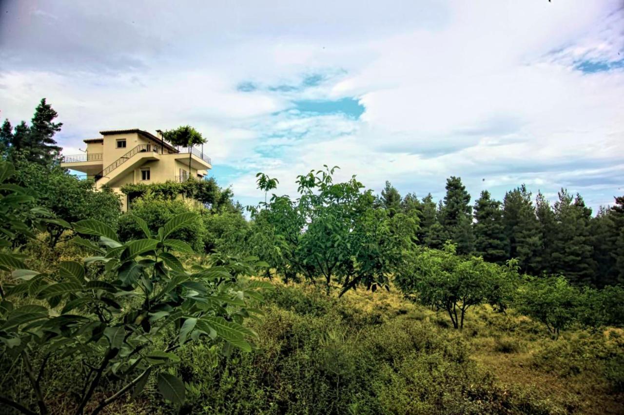 Dream House Capturing The Magic Of Nature Vlachia Zewnętrze zdjęcie