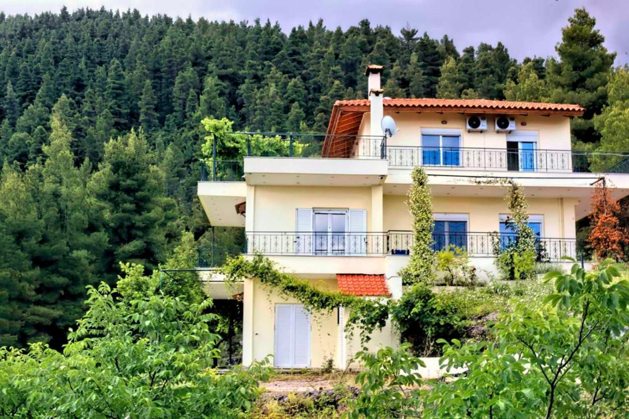 Dream House Capturing The Magic Of Nature Vlachia Zewnętrze zdjęcie