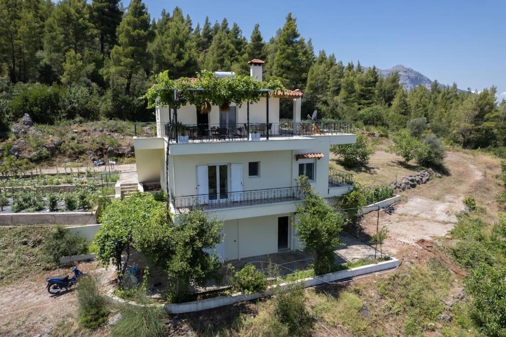 Dream House Capturing The Magic Of Nature Vlachia Zewnętrze zdjęcie