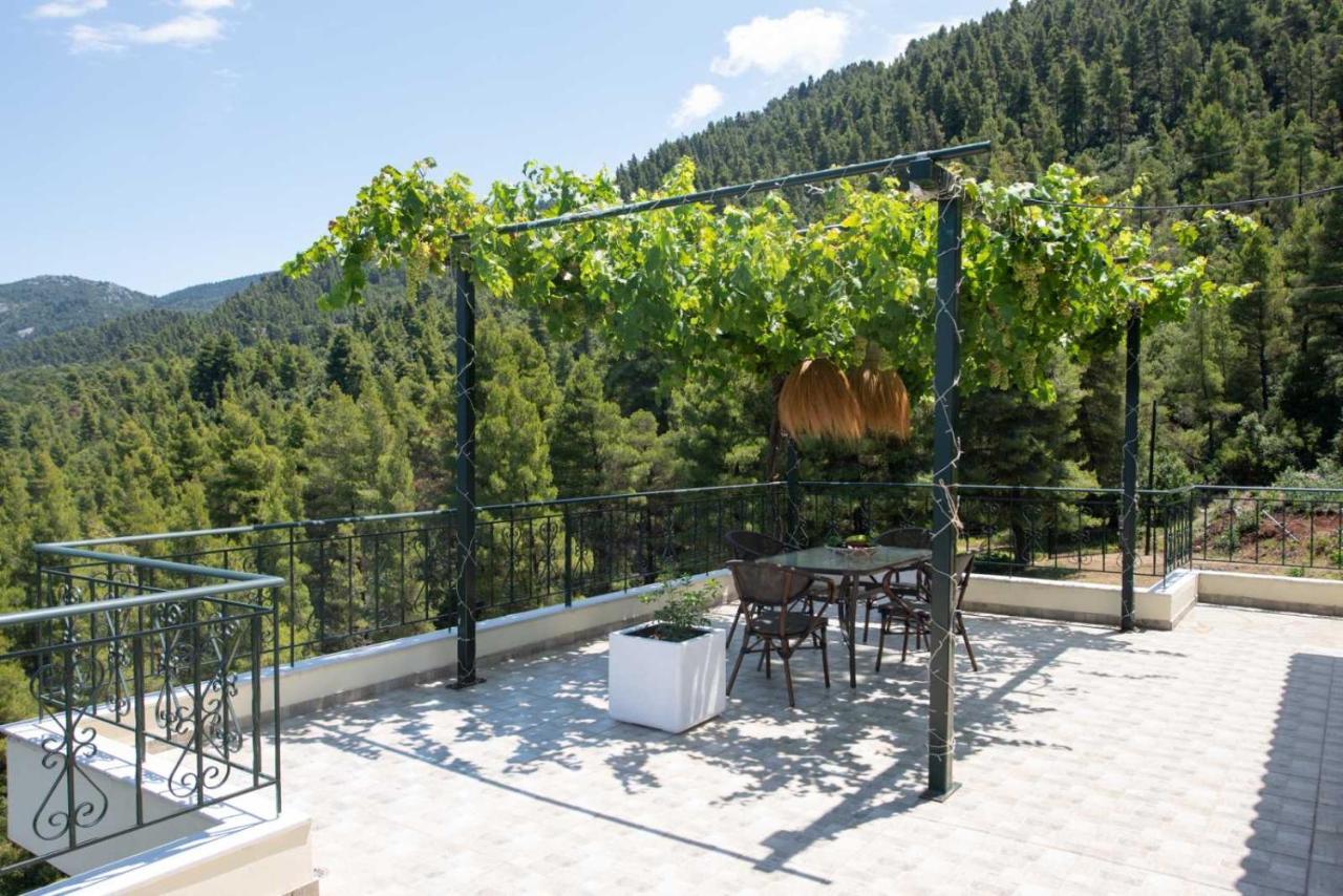 Dream House Capturing The Magic Of Nature Vlachia Zewnętrze zdjęcie