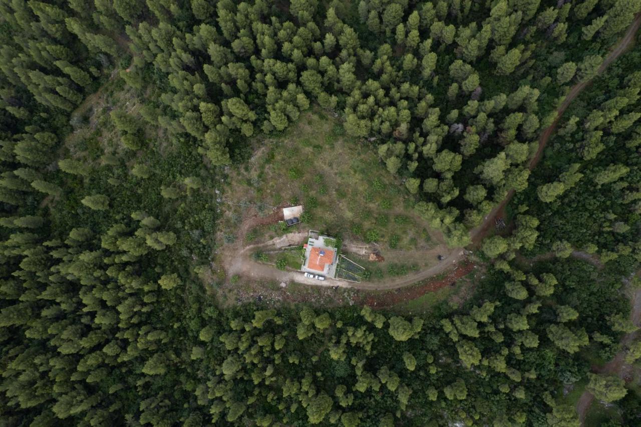 Dream House Capturing The Magic Of Nature Vlachia Zewnętrze zdjęcie